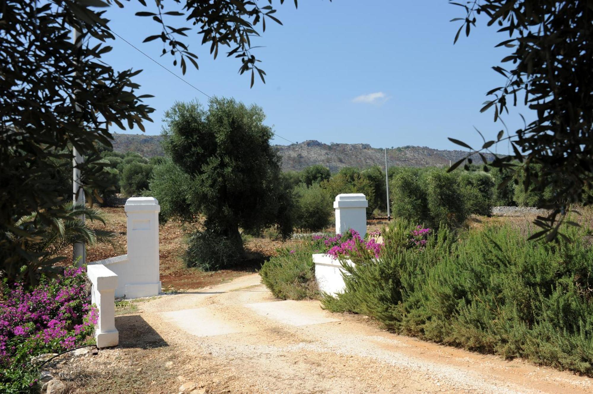 Masseria Lama Di Galizia Βίλα Ostuni Εξωτερικό φωτογραφία