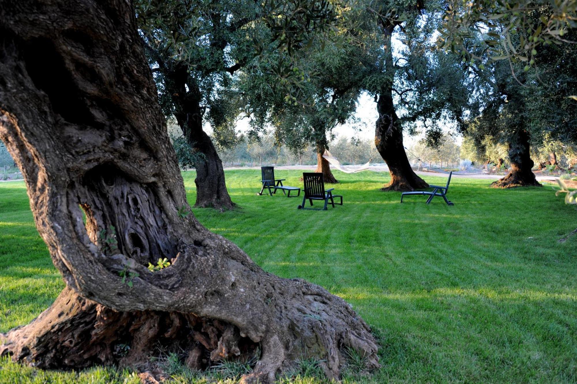 Masseria Lama Di Galizia Ostuni Εξωτερικό φωτογραφία