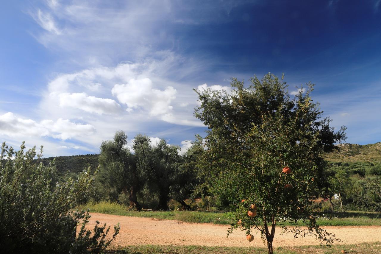 Masseria Lama Di Galizia Βίλα Ostuni Εξωτερικό φωτογραφία