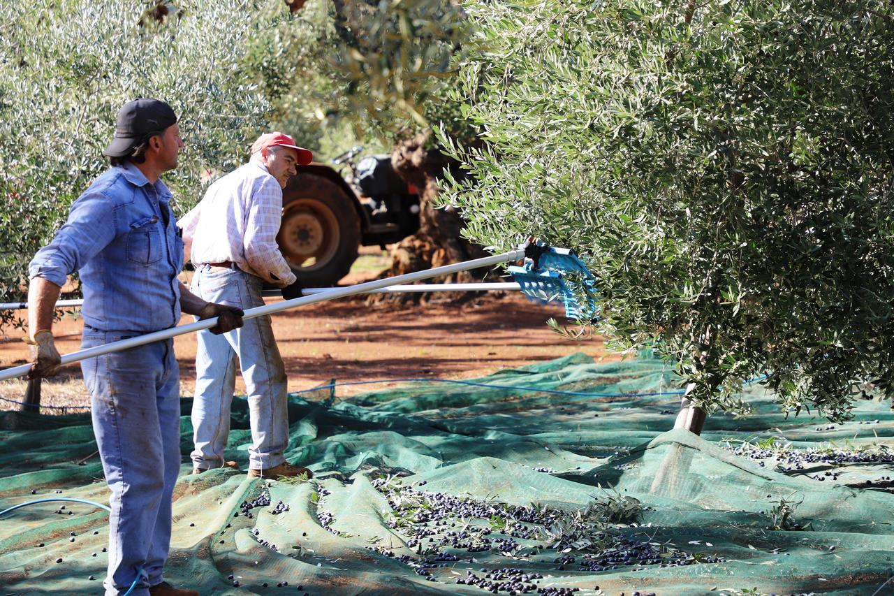 Masseria Lama Di Galizia Βίλα Ostuni Εξωτερικό φωτογραφία