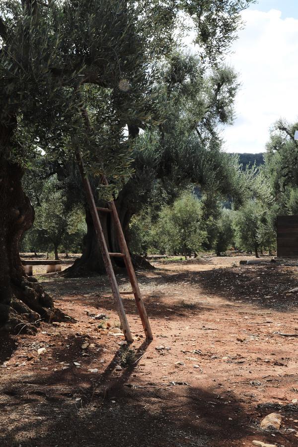 Masseria Lama Di Galizia Βίλα Ostuni Εξωτερικό φωτογραφία